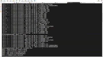 Spfile Missing - Create spfile from pfile || RAC