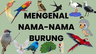 MENGENAL NAMA-NAMA BURUNG