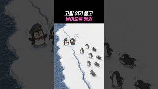 고립 위기 뚫고 날아오른 펭귄