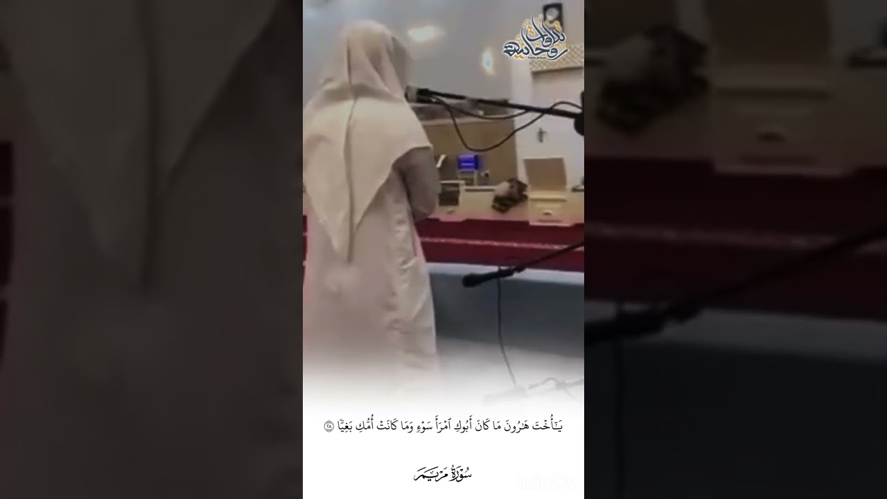 تلاوة ندية لا تمل سماعها!