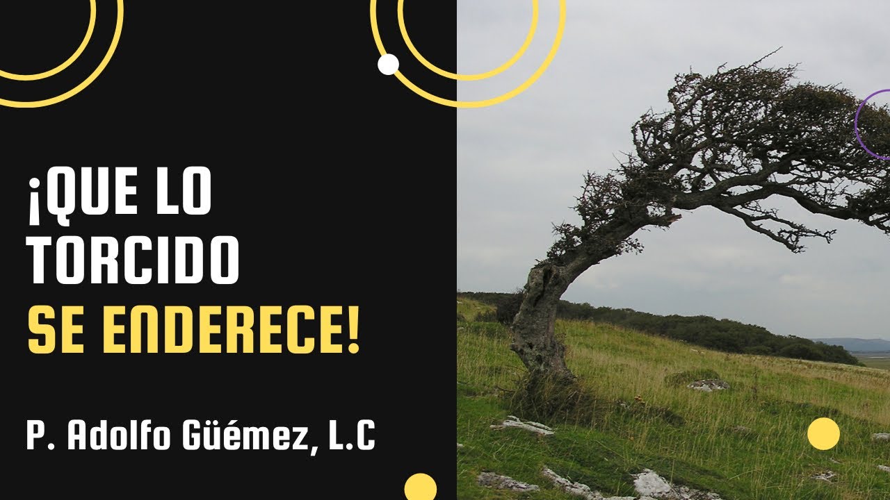 ¡Que lo torcido se enderece! - YouTube