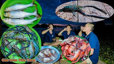 Một ngày ở sông Tiền câu toàn Tôm càng xanh | Gấc Quê