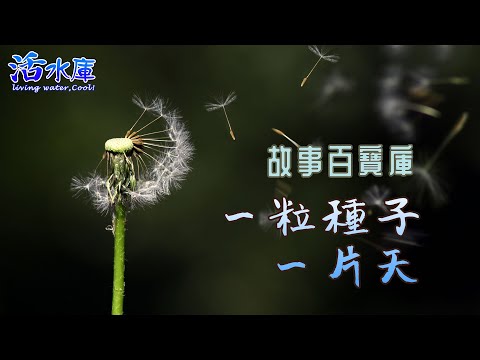 故事百寶庫：一粒種子一片天