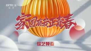 CCTV3 Ident History(1996-2022), but heavily shortened