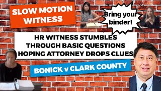 Slow Motion Witness 
