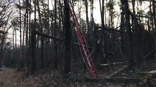 Removing a snagged, hung up tree by flyboyslc1 82 views 2 years ago 5 minutes, 5 seconds