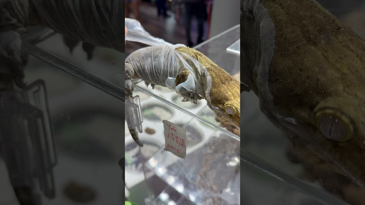 Getting under your skin.  