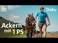 Bäne - Ackern mit Pferd | Ein Jahr mit Bäne | Doku 2/6 | Alpe | Bergmenschen | BR | Landwirtschaft