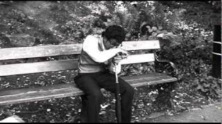 Celebrity The Old Code Wealth