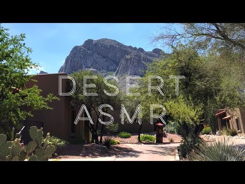 🌵Desert ASMR🌵Nail Tapping, Bird Sounds, No Talking