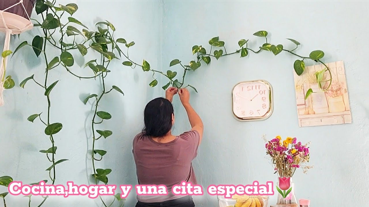 Vida simple y bonita en casa| Granola casera #hogaracogedor #vidalenta #cottage #vidaenmexico #temu