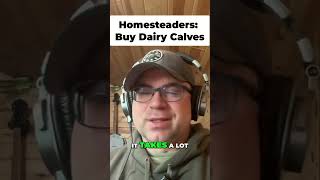 Homesteading Hack: Buy Dairy Calves