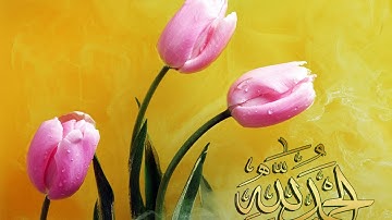 تلاوات خاشعة سورة ال عمران - الآية [15- 27] الشيخ محمد العصيمي www.qoranet.net