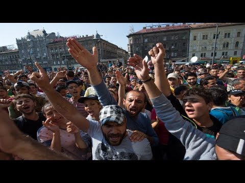 Jak żyją imigranci we Francji. Czy tego chcecie w Polsce?