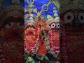 Happy Rath Yatra