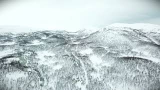 ❄️👣Winter Wonderland Walk❄️👣 Soothing Sounds of Walking in the Snow