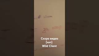 (чит) Wild Client #wildclient