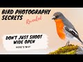 Don't just shoot wide open! Here's Why - Bird Photography Secrets Revealed