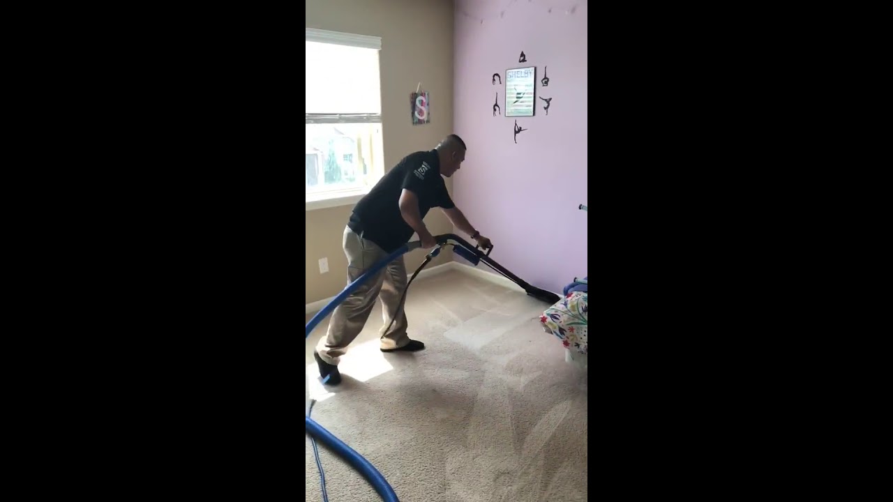 How to steam clean your carpet