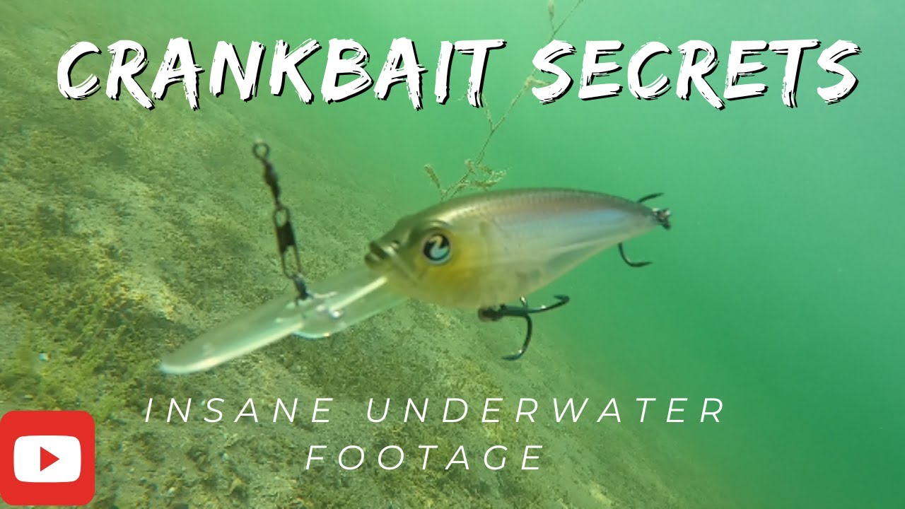 How to fish Crankbaits - Insane Underwater Video