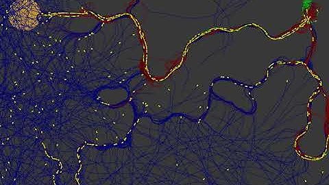 1000 Ants simulation in processing