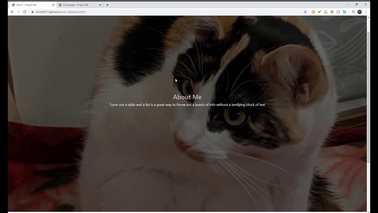 Project Silk - ENGO551 Project