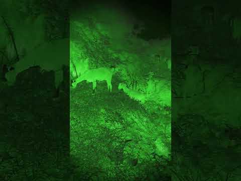 Jikede Jaial Tikade Gadi Janar Ga 