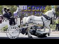 Uc davis  picnic day 2024