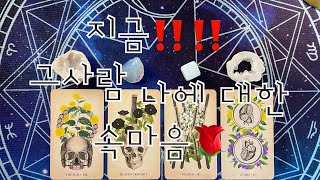 타로- 지금!!! 그사람 나에 대한 속마음