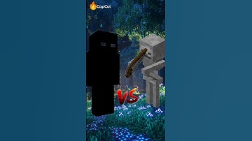 Entity Null vs Herobrine #minecraft #shortsfeed #shorts
