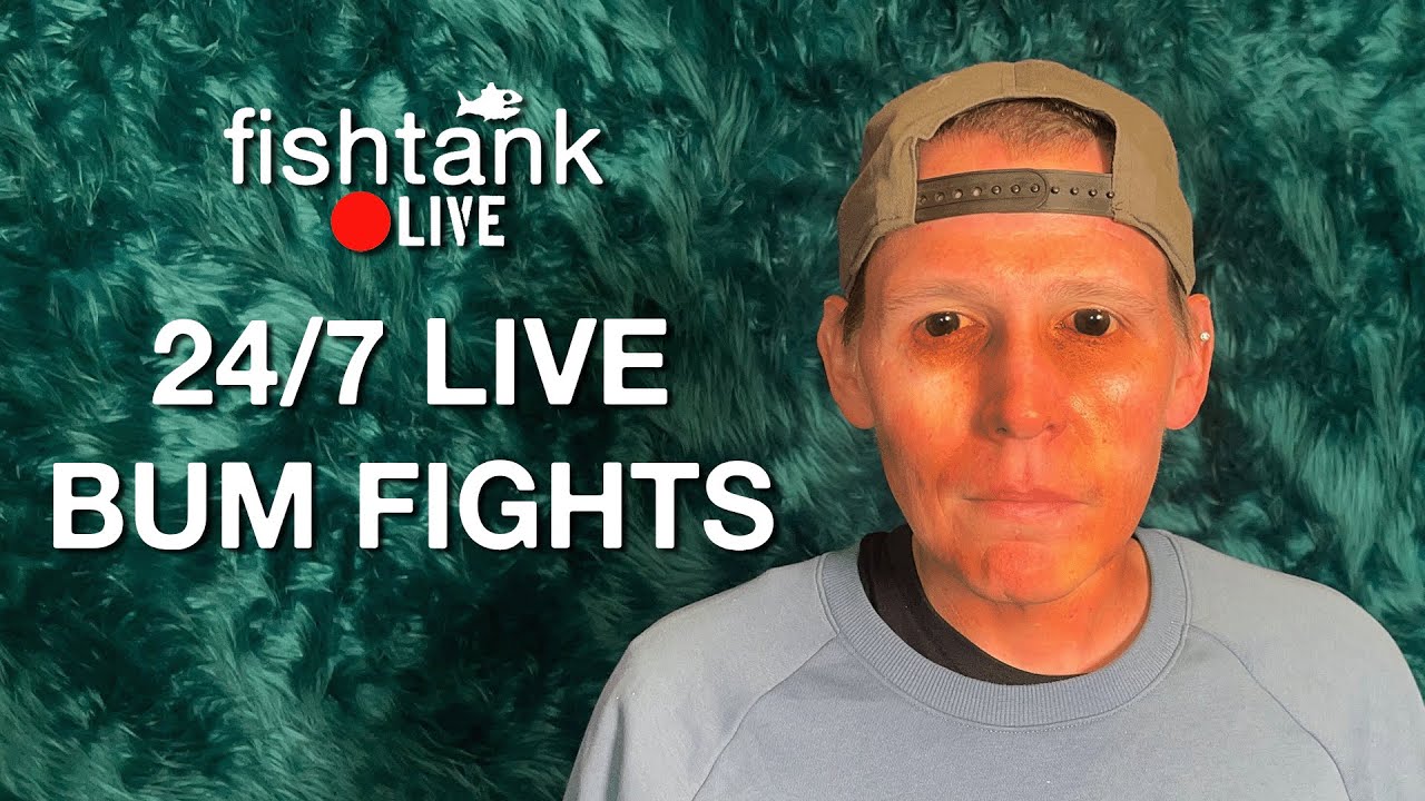 Fishtank S1 | DAY 24 - YouTube