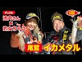 第386回放送（2/25）池内修次さんと尾鷲のイカメタル