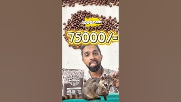 Luwak Coffee ☕️, The world most expensive coffee. This video is sponsored by Greeco Coffee #coffee