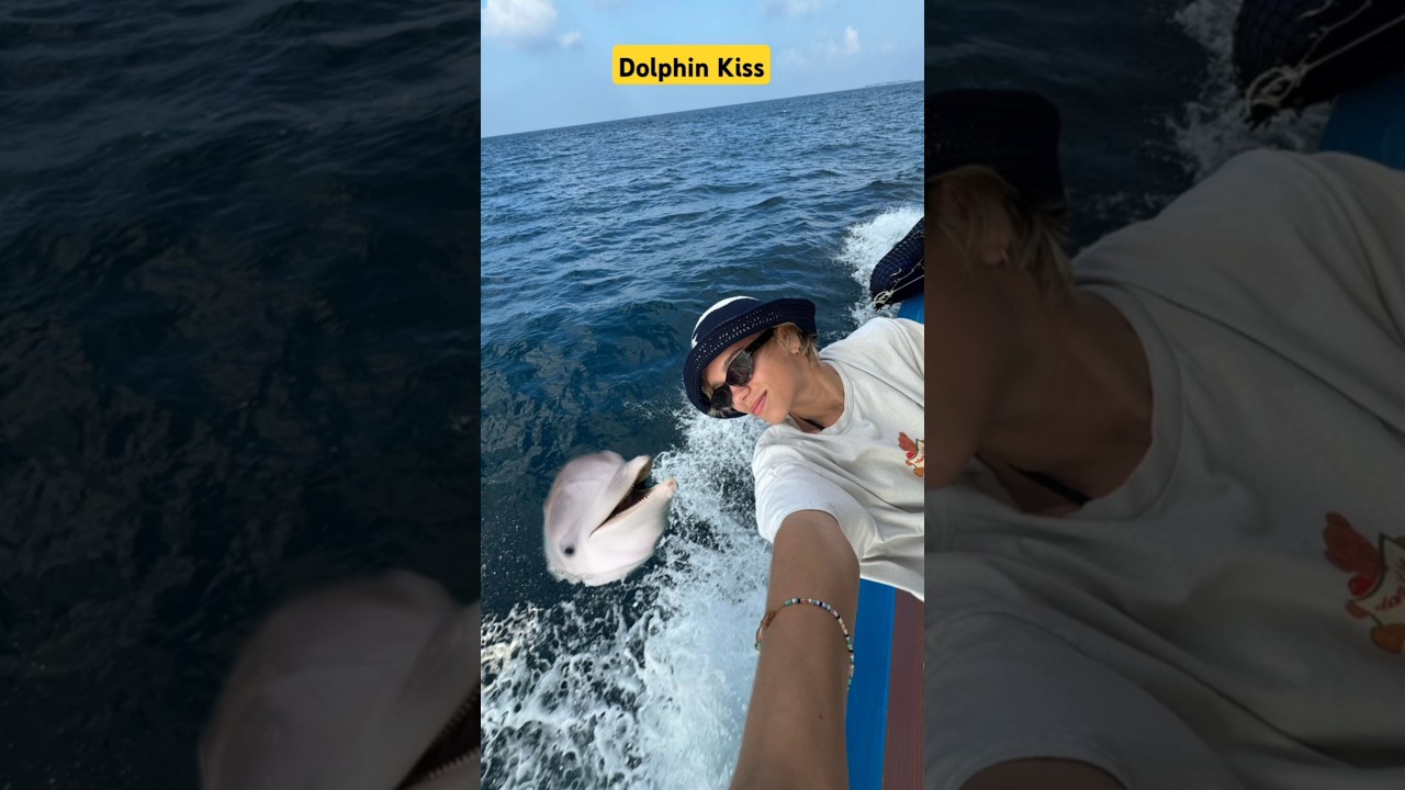 Have you kissed dolphin 