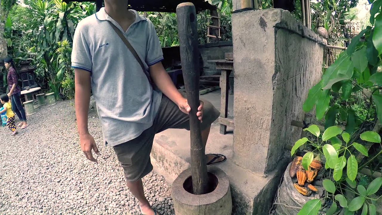 Copi Luwak: Revealing secrets of coffee making