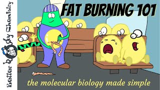 How fat burning really happens at a molecular level
