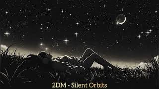 Information 2DM LOFI – Silent Orbits (Falling Satellites Pt. II) Update