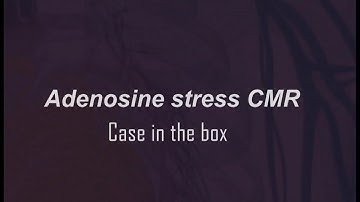 Adenosine stress CMR exam