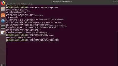 Network-Linux Bridge Interfaces