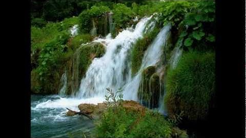 سورة النور صوت الشيخ أبو بكر الشاطري