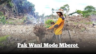 Download Lagu PART DUA PEMBERSIHAN TUNGGUL  MP3