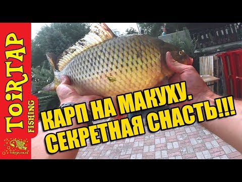 Ловля карпа на кружки - видеоинструкция для рыболовов