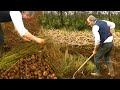 Farming potatoes in ireland as was done in the 1950