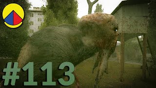 Stalker Anomaly 1.5.1.2 Survivalist/Hard | Mortal Sin: Contact Lost (pt.2) #113