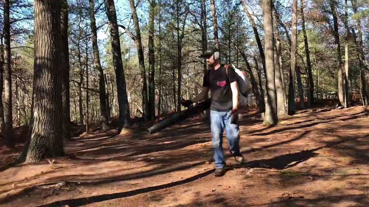 Full leaf clean up on backyard disc golf course