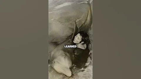 A Dolphin’s Unforgettable Affection: Margaret & Peter 🐬💖