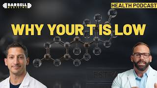 The Real Reason Most Men Have Low Testosterone (MOSH Explained)