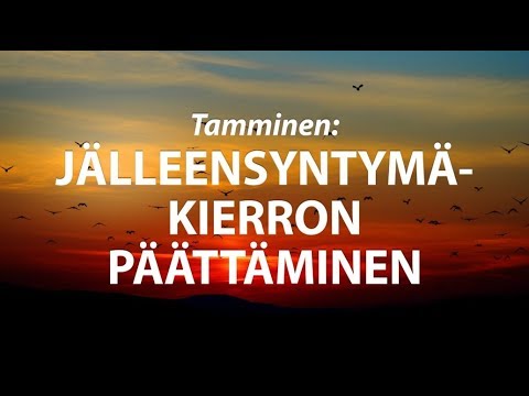 Tamminen: Jälleensyntymäkierron päättäminen