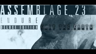 Assemblage 23 - Endure Deluxe Edition (Full Album)