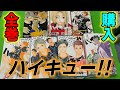 漫画全巻ドットコムで全巻買ってみた！#5【ハイキュー!!】
